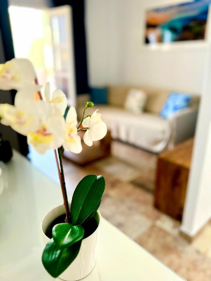 Cosy, New Studio In Costa Adeje Costa Adeje (Tenerife) Exterior foto